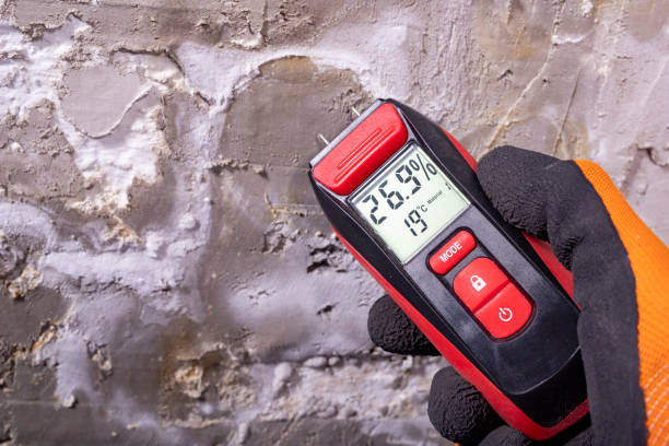 Best Office Mold Removal Services  in Harris Hill, NY